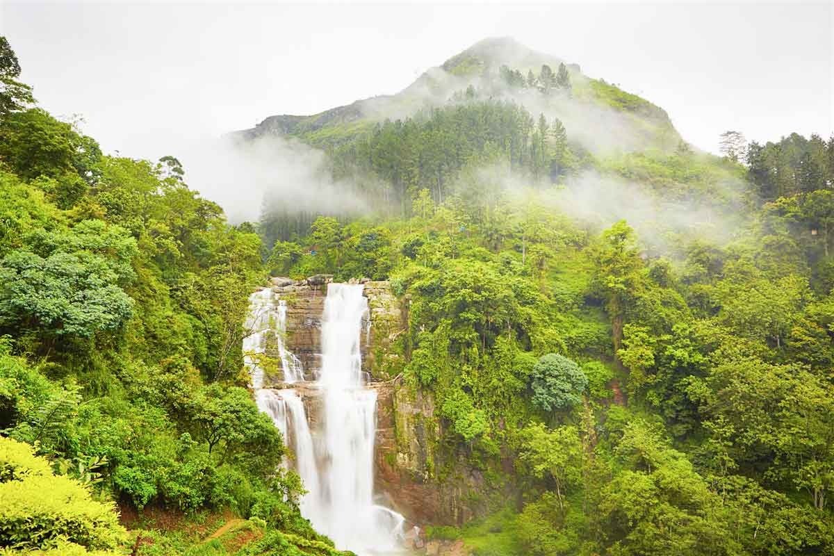 Sri Lanka 6 Days Tour Package | Sri Lank...